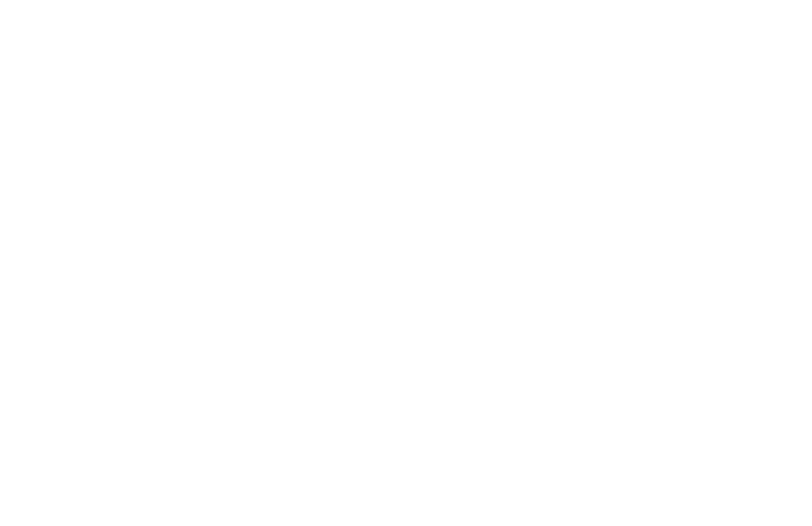 positivo jaguar logo